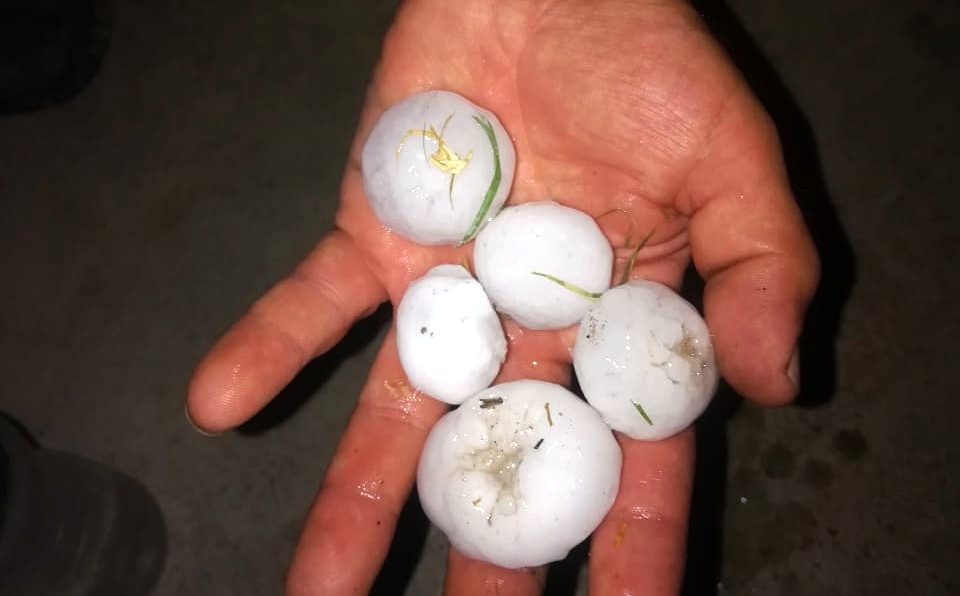 A la peor cosecha de uva de la historia, se sumó otra tormenta de granizo en San Juan y Mendoza
