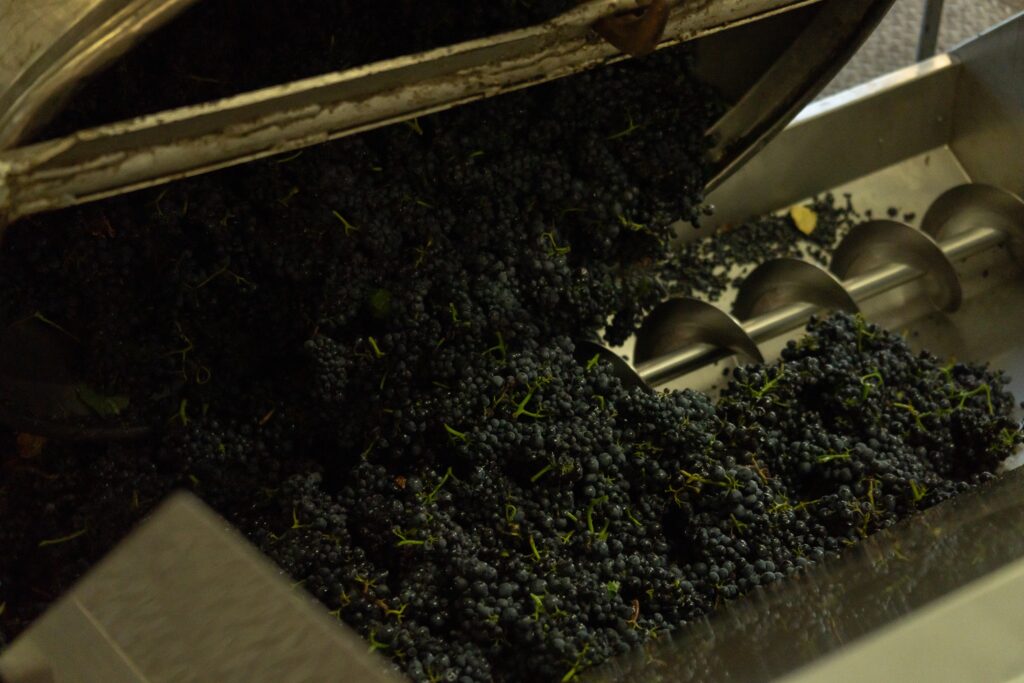 Por qué la vitivinicultura gana con la pauta diversificadora del 12%